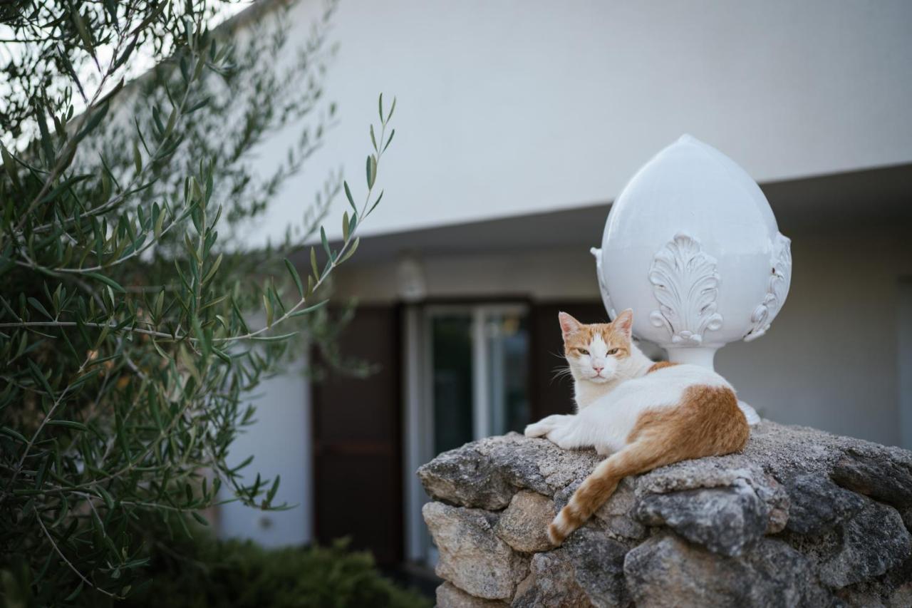 Prestigiosa Villa Con Piscina Condominiale 모노폴리 외부 사진